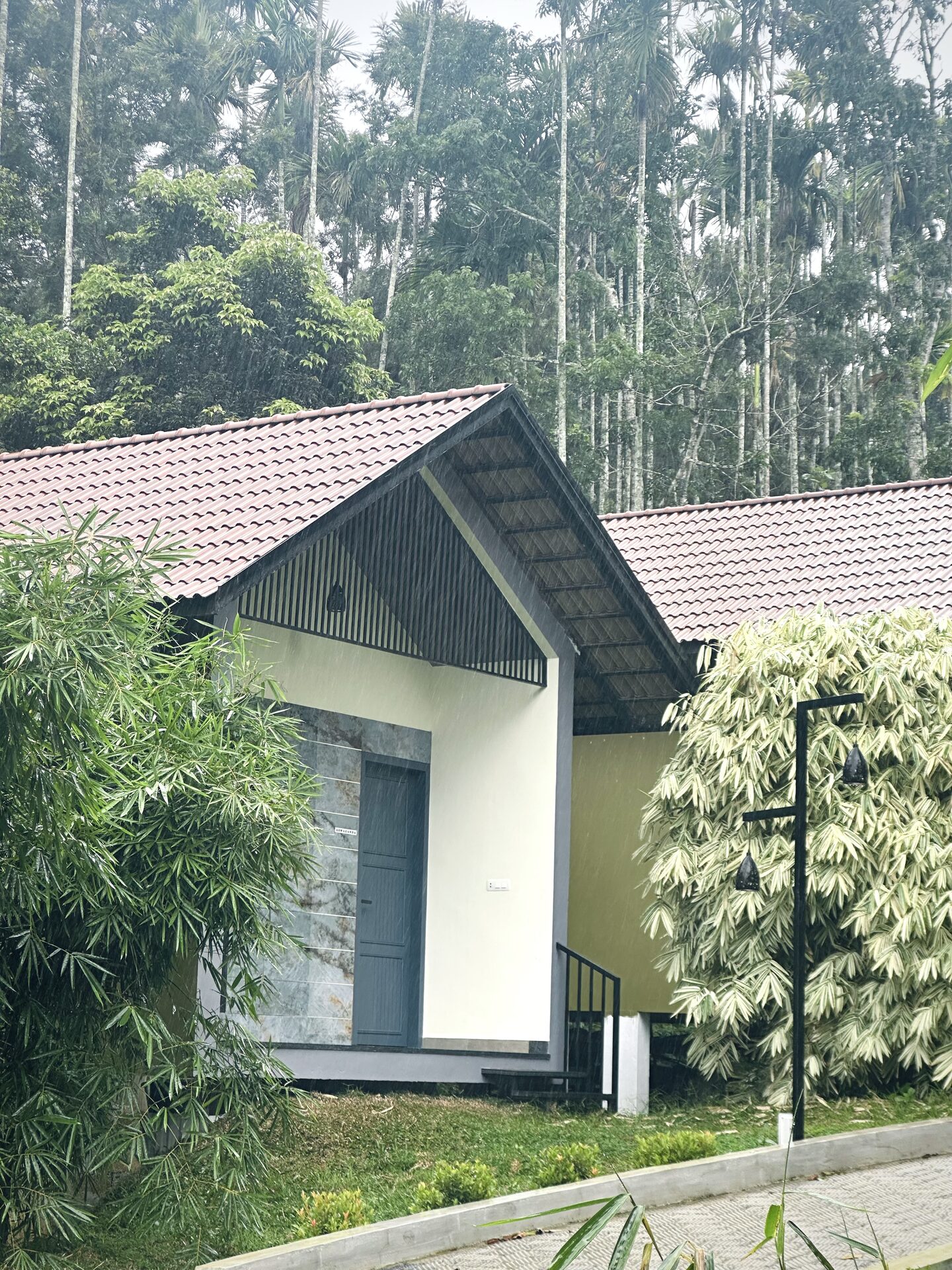 A misty monsoon morning at an eLtha cottage