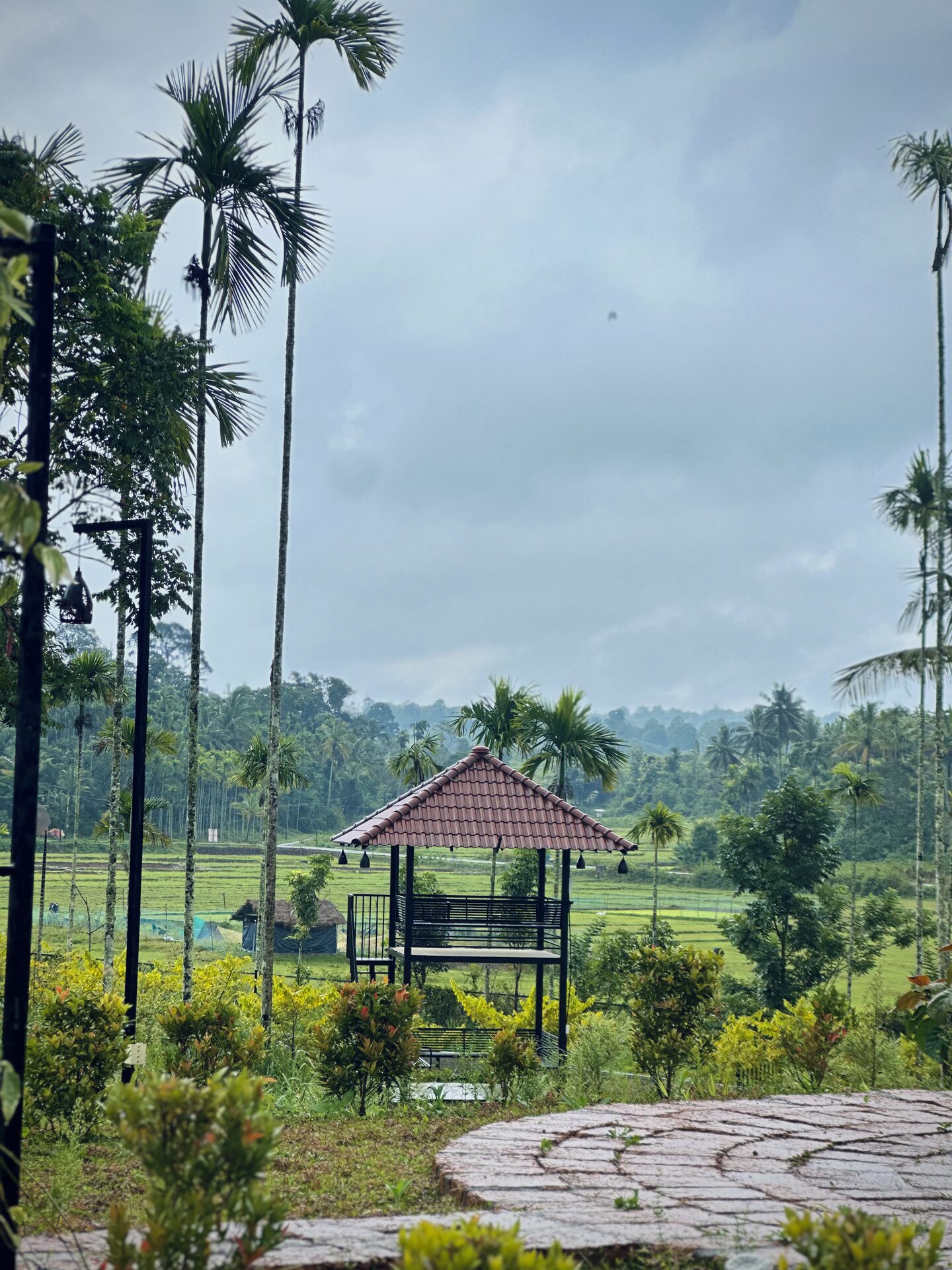 Gazebo overlooking paddy fields