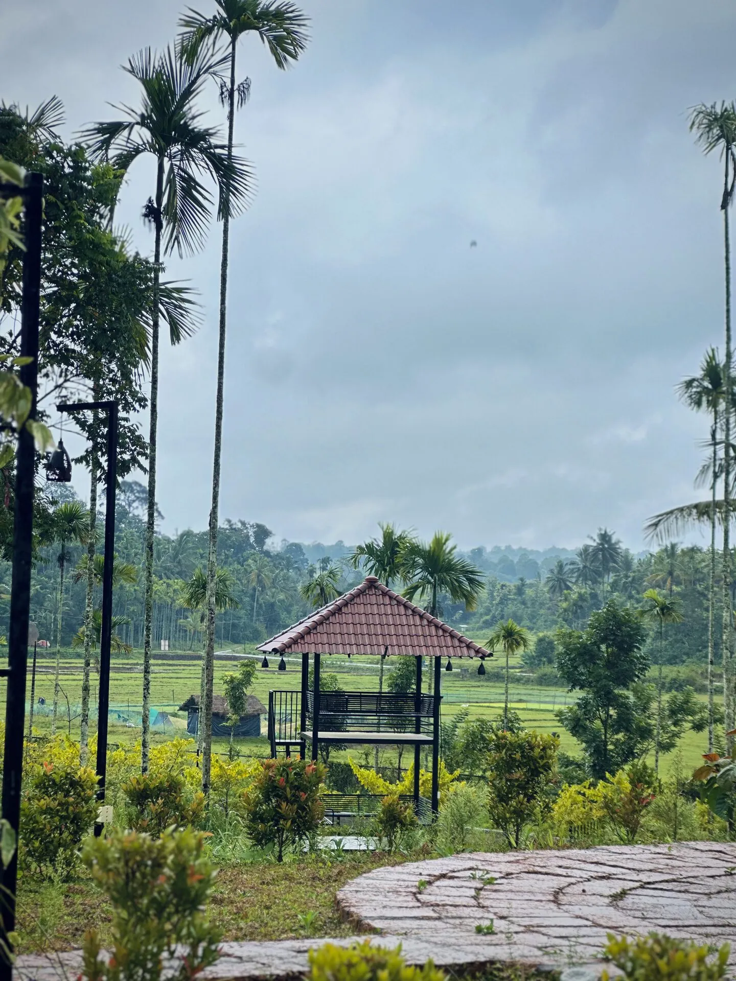 Gazebo overlooking paddy fields