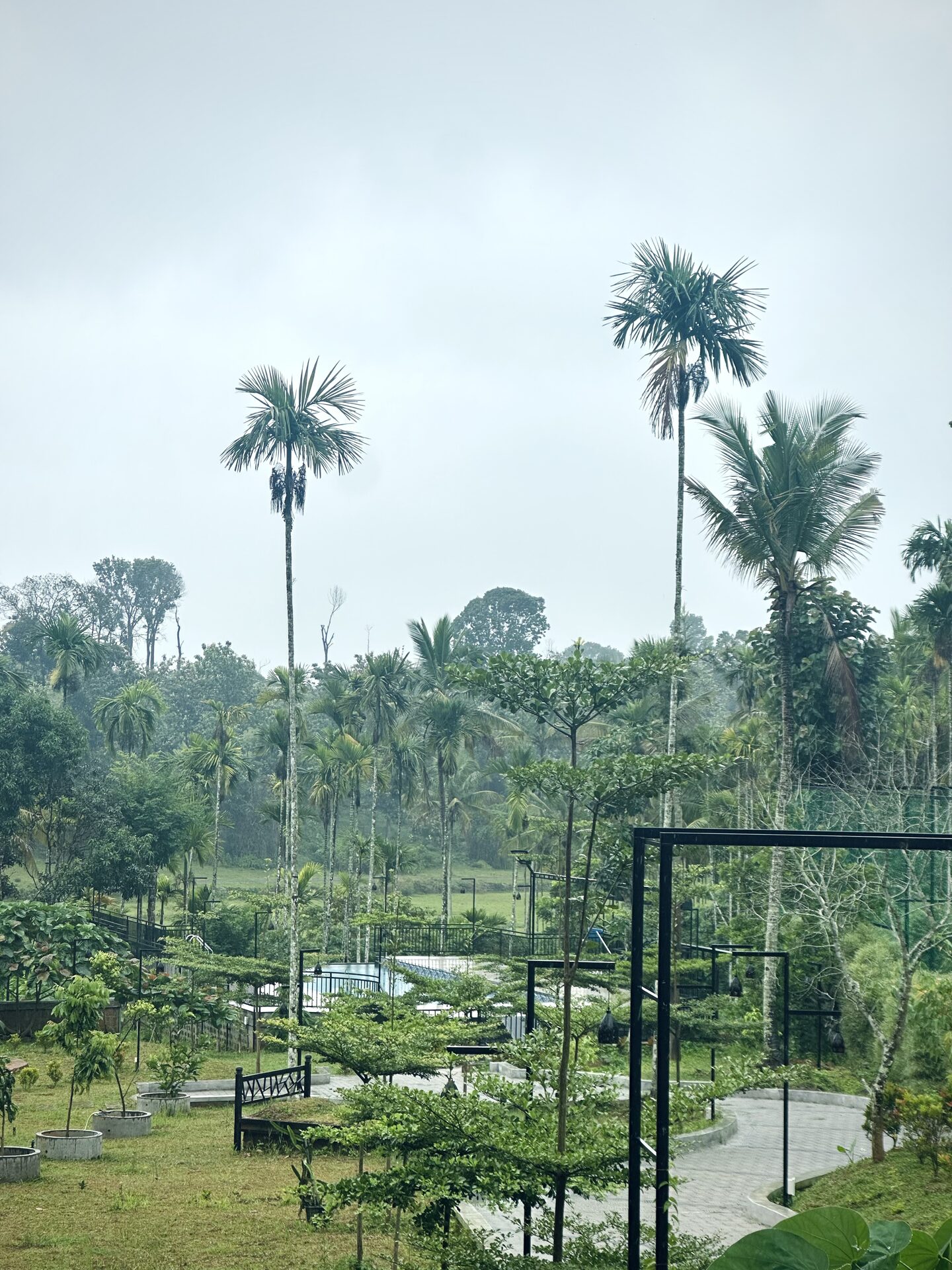 Misty morning overview of the resort
