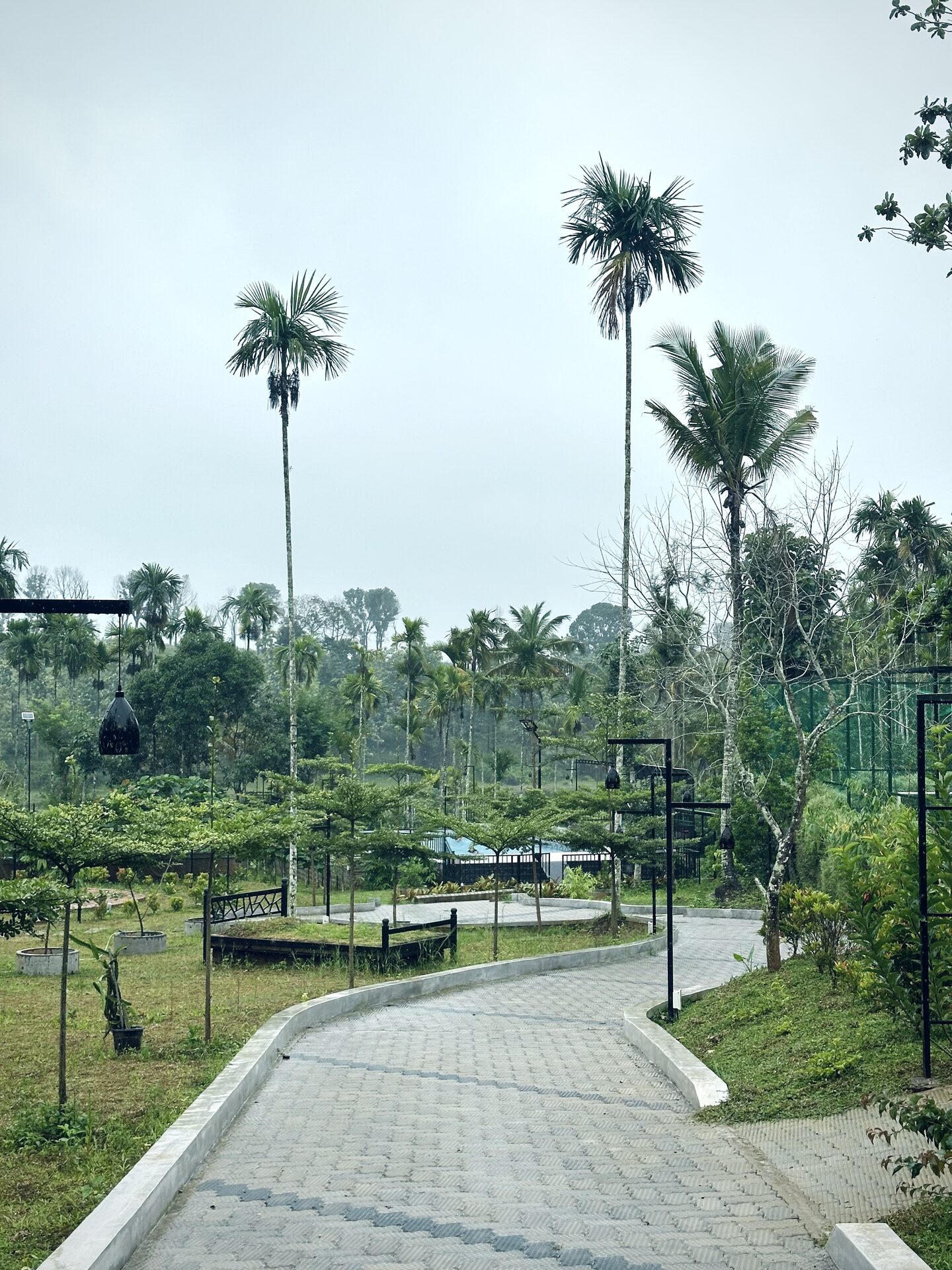 Pathway leading to the pool