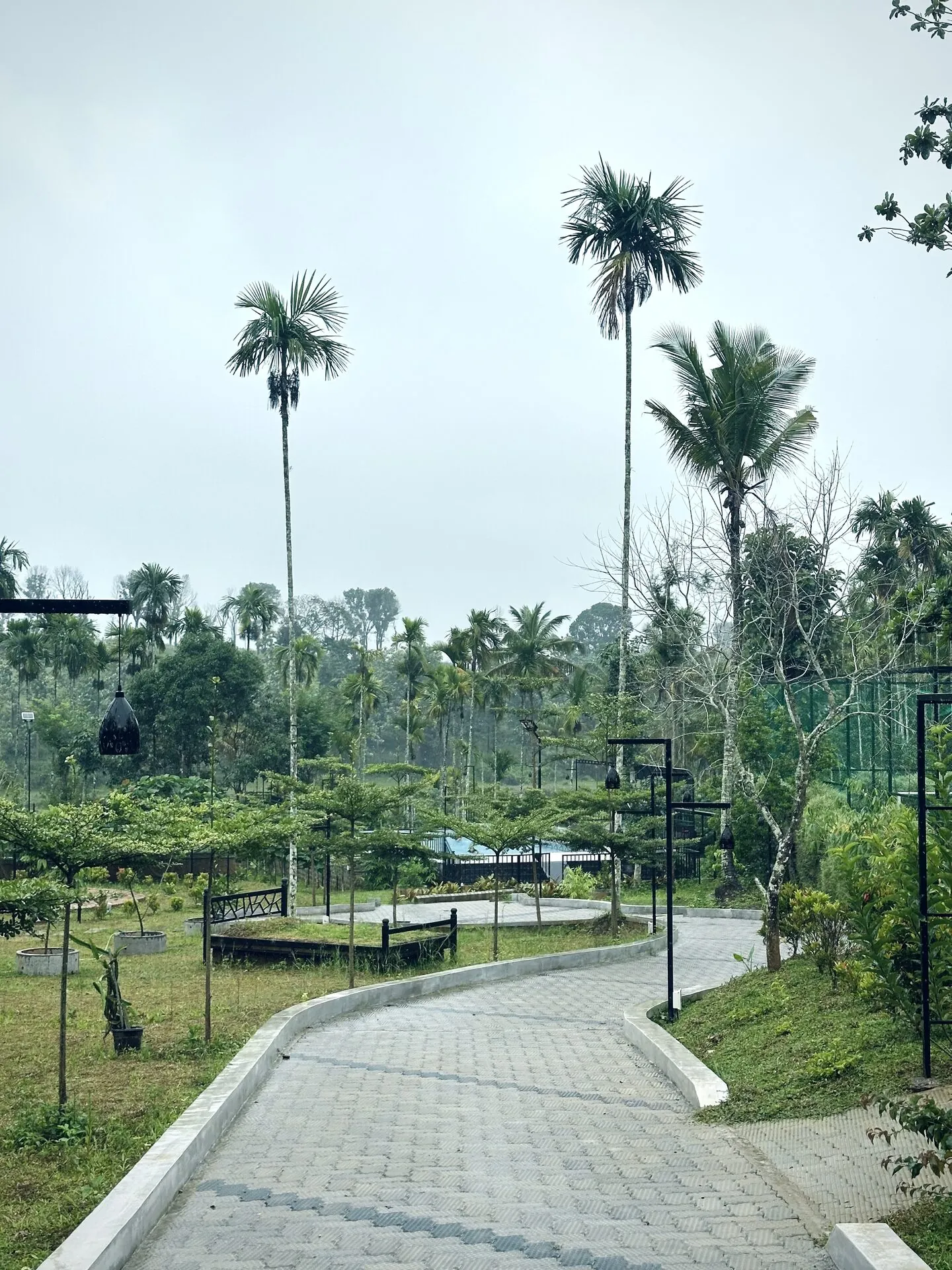 Pathway leading to the pool