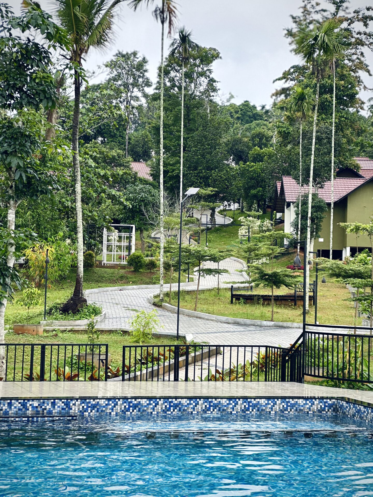 Winding pool pathway at eLtha