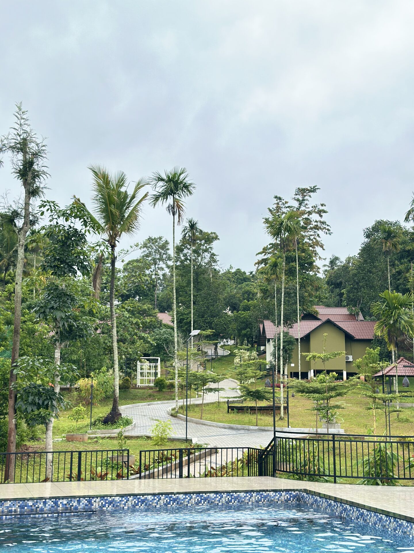 Poolside pathway with palms