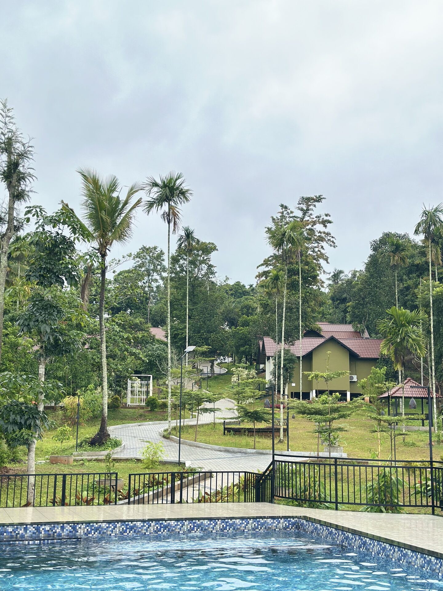 Wide view of pool and pathways
